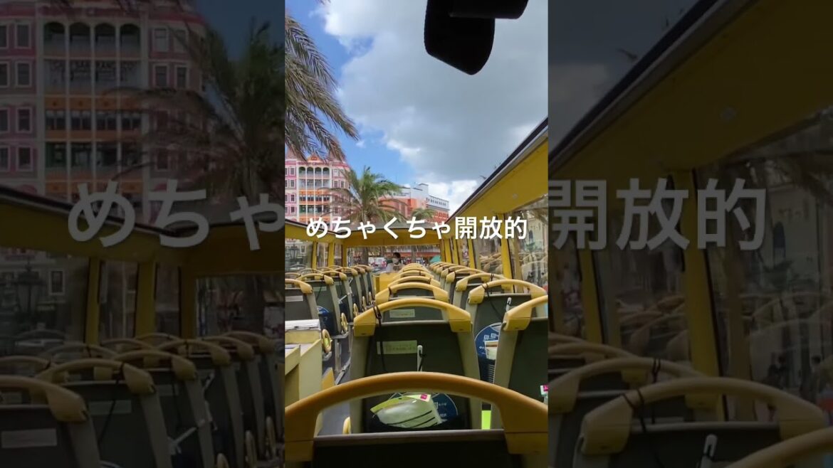 沖縄で唯一の１台（オープントップバス） #沖縄