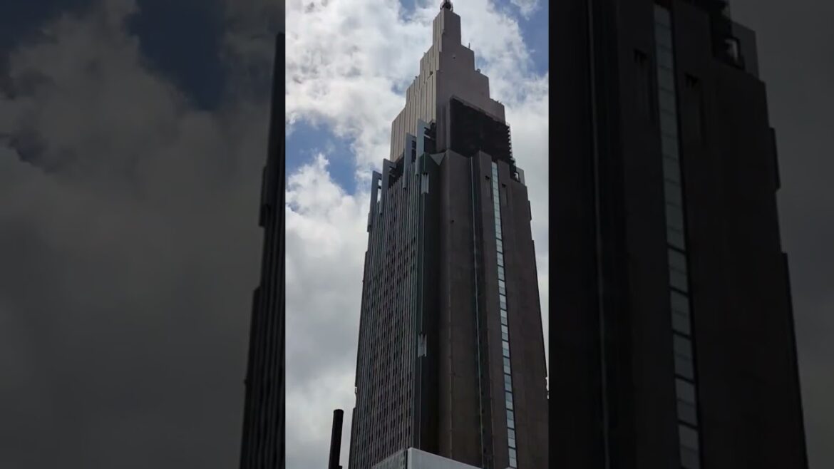 Japan Tokyo #travel #food #japan #enjoy