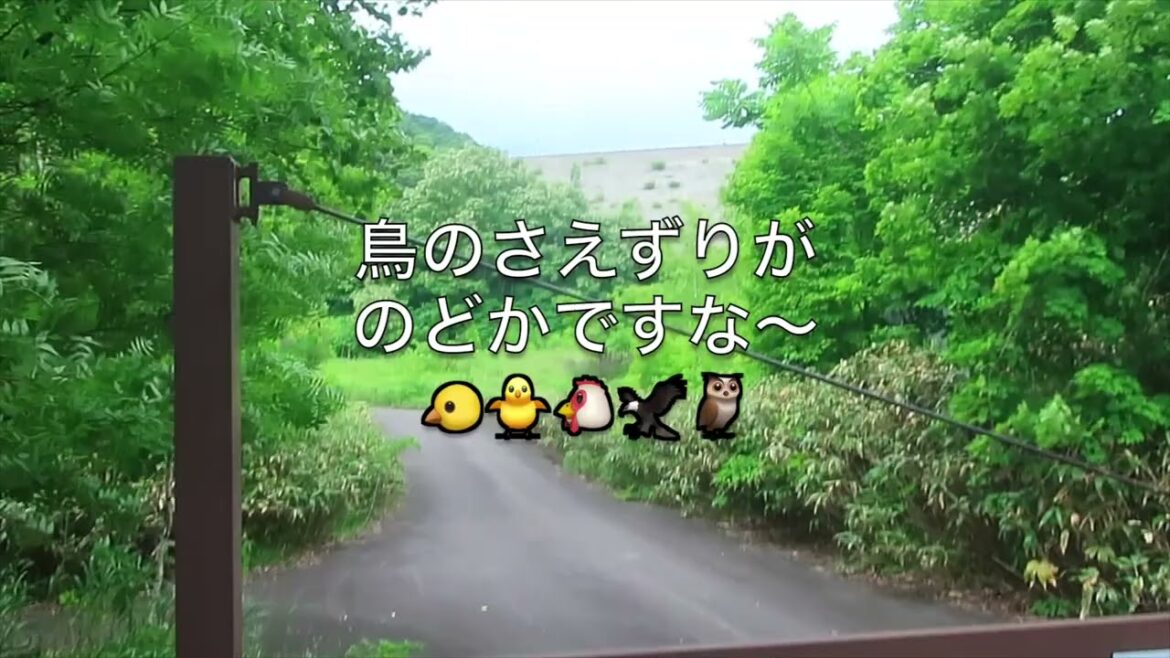 北海道【協和ダム】立ち入り禁止・電波ぎりぎり【ハイドラCP巡り】Hokkaido [Kyowa Dam] The gate was closed