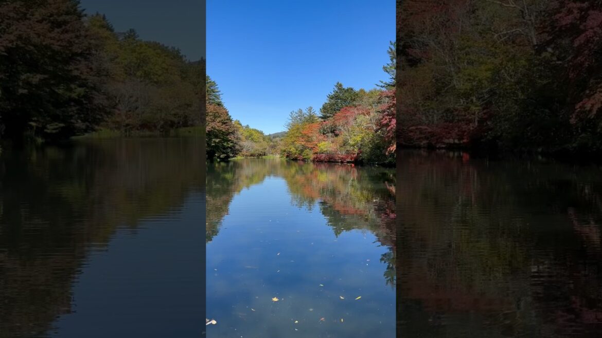 2023/10/18 軽井沢 雲場池の紅葉状況