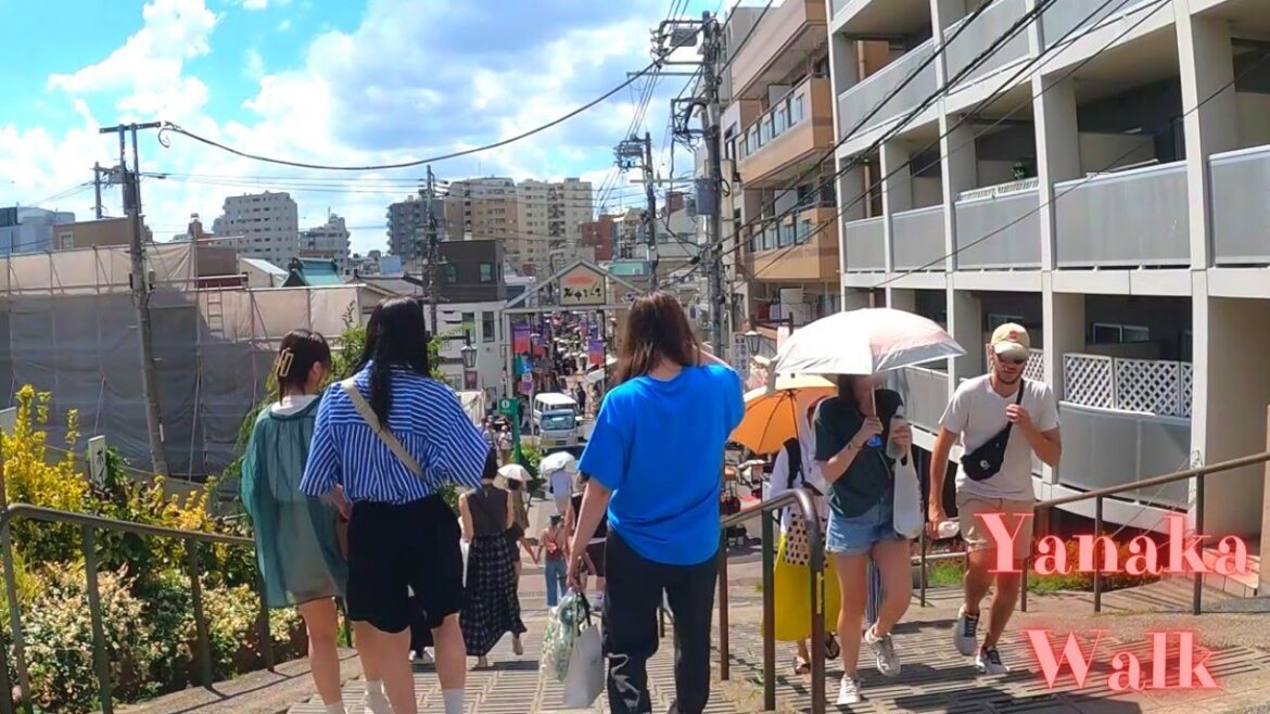 Yanaka Tokyo in Japan walking tour【4K】10.2023-18 Yanaka Tokyo in Japan walking tour【4K】10.2023-18