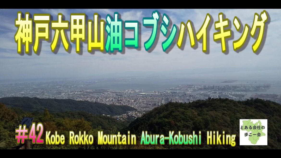 六甲山油コブシハイキング【とある会社の歩こー会】#42 2023.10 Mt. Rokko Abura Kobushi hiking in Hyogo Prefecture, Japan. 六甲山油コブシハイキング【とある会社の歩こー会】#42 2023.10 Mt. Rokko Abura Kobushi hiking in Hyogo Prefecture, Japan.