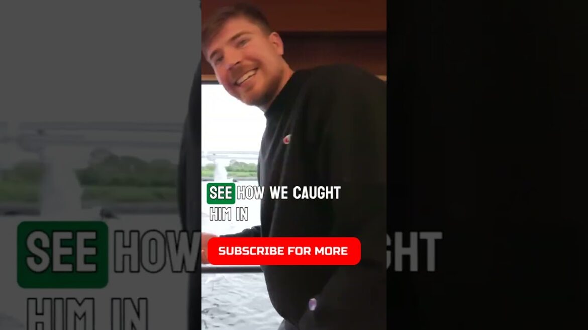 Living the Dream on a $250,000 Vacation in Japan with MrBeast! #Shorts #mrbeast #mrbeastshorts Living the Dream on a $250,000 Vacation in Japan with MrBeast! #Shorts #mrbeast #mrbeastshorts