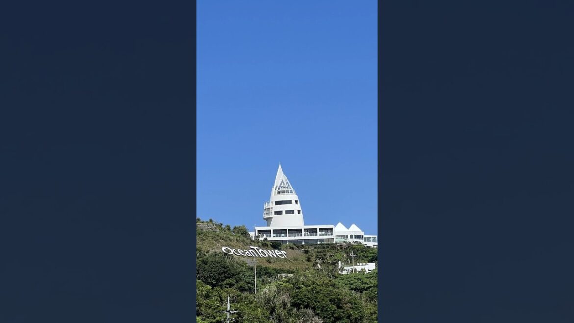 Traveling to Okinawa #food  #beach #sunset #japan  #travel