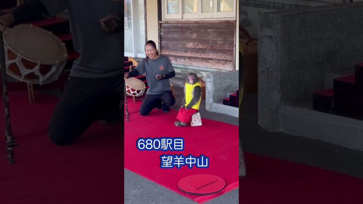 102日目午後 中山峠でも猿回し 北海道 23/10/15(日) 道の駅全国制覇