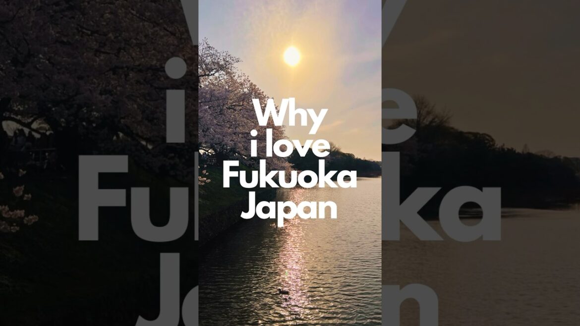 Why i love Fukuoka, Japan! 🇯🇵