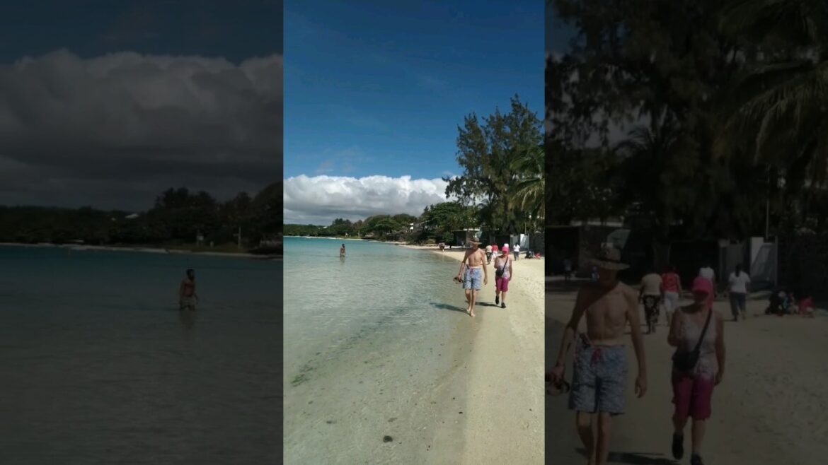 imagine being here right now ✨ #mauritius #shorts #travel