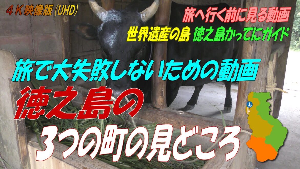 世界遺産の島「徳之島」へ旅する前に見るべき動画! 世界遺産の島「徳之島」へ旅する前に見るべき動画!