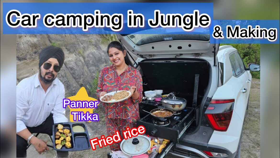 Part -1 Car camping in Jammu Kashmir Making Panner Tikka and fried rice in our campervan