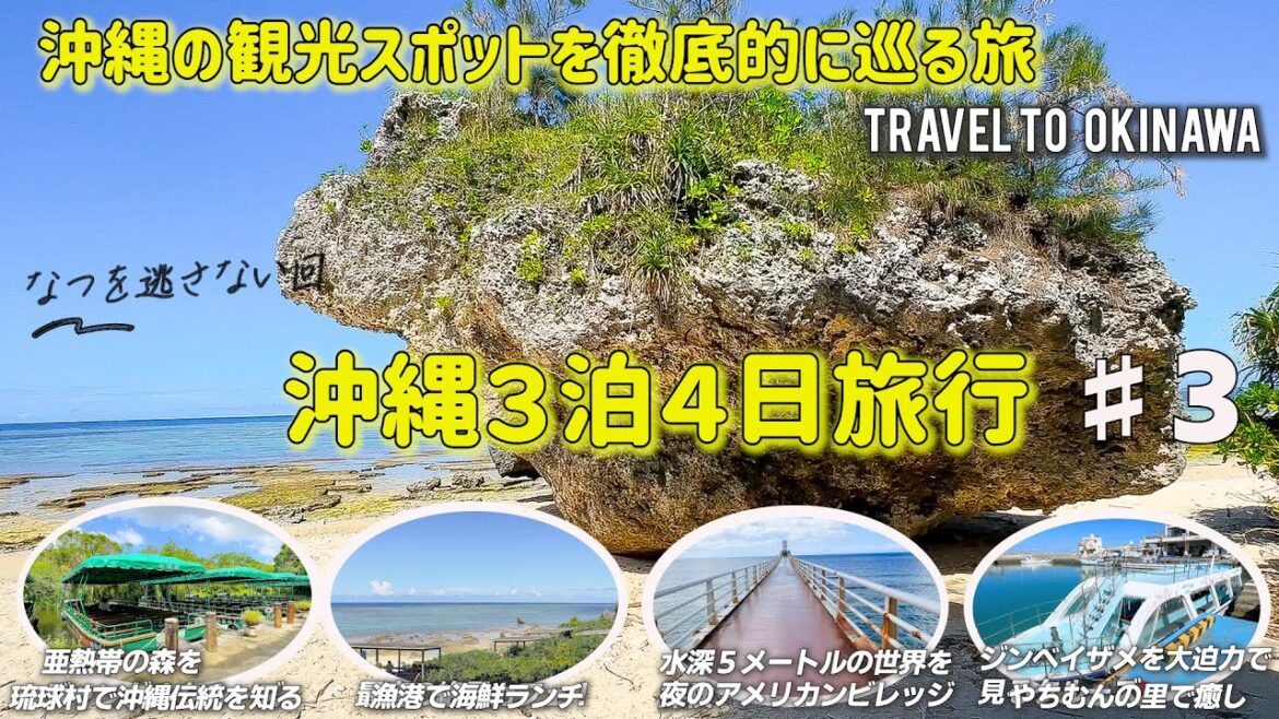 沖縄旅行🌺グルメ＆観光スポットを徹底的に巡る旅# ３　夏を逃さない回　ジンベイザメグラスボート/バンタカフェ/ビオスの丘/ブセナ海中公園