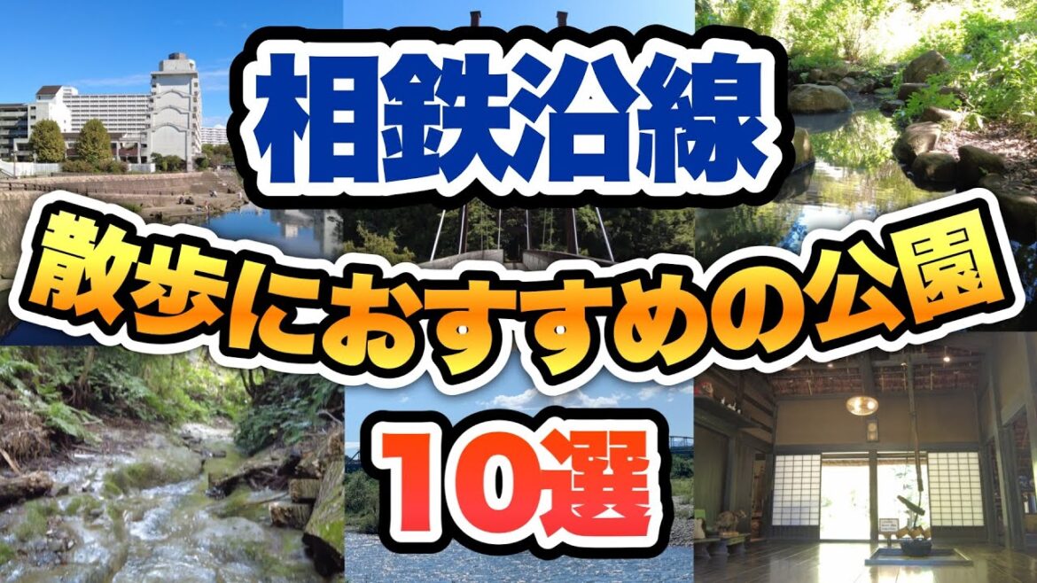 【相鉄沿線】大人の散歩におすすめの公園まとめ10選