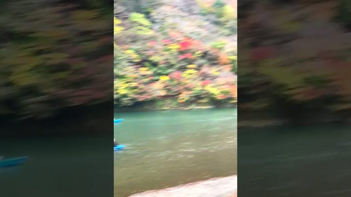 Inside Japan’s Bamboo Forest Arashiyama Kyoto #travel Inside Japan's Bamboo Forest Arashiyama Kyoto #travel