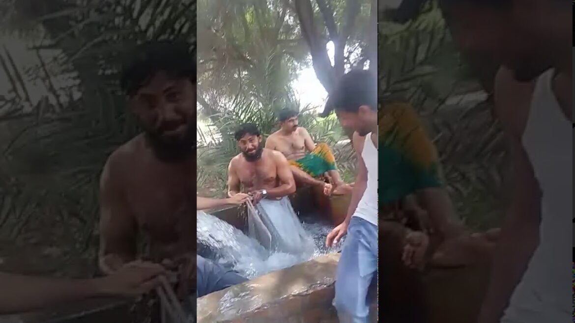 Tubewell Party in Summer season Basti Haji Parihar full of masti and Fun Music on tractor.