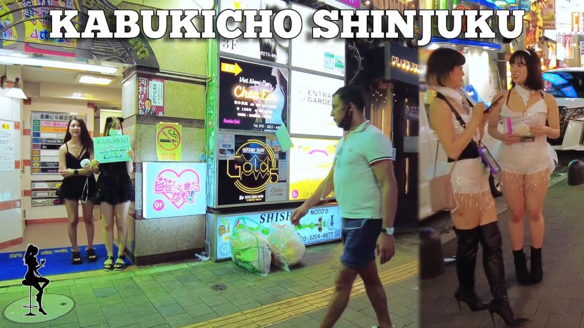 4K Japan Walk - 歌舞伎町散歩 Kabukicho Shinjuku Girl Bar - 新宿東京散歩 Shinjuku Tokyo at night walk Cafe Girl