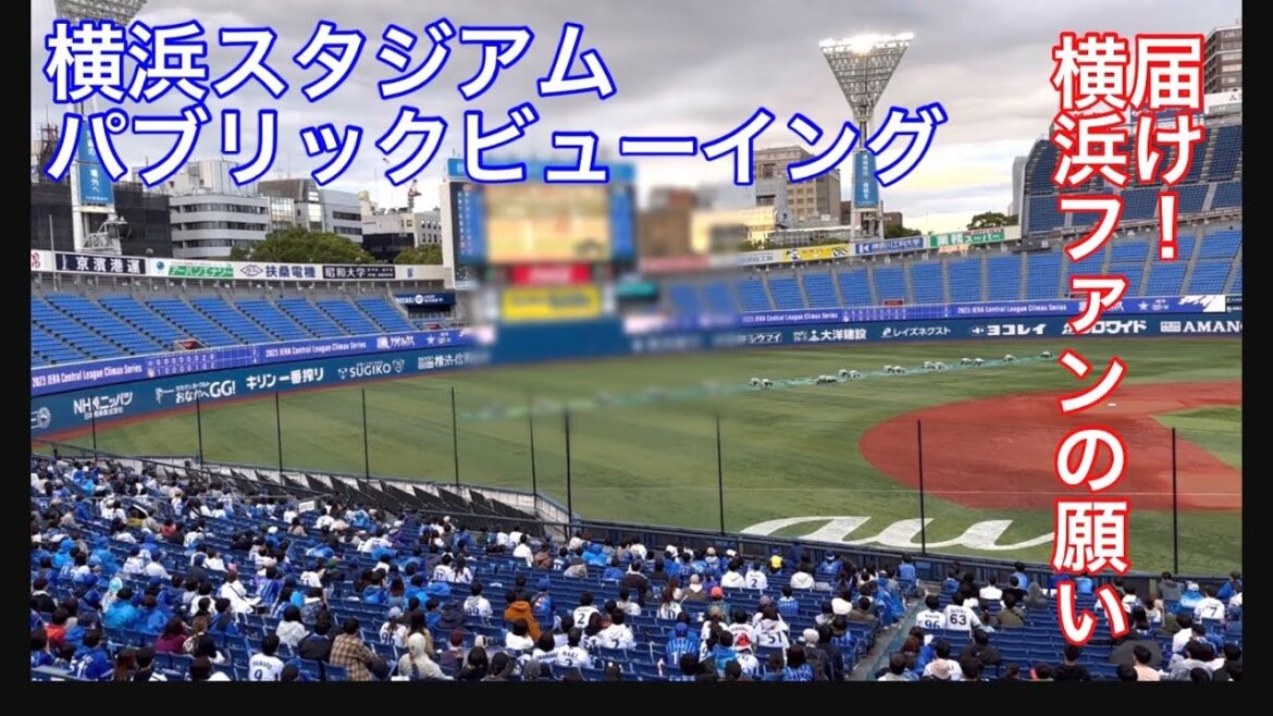 【無料】横浜スタジアムのパブリックビューイングに行ってきました。