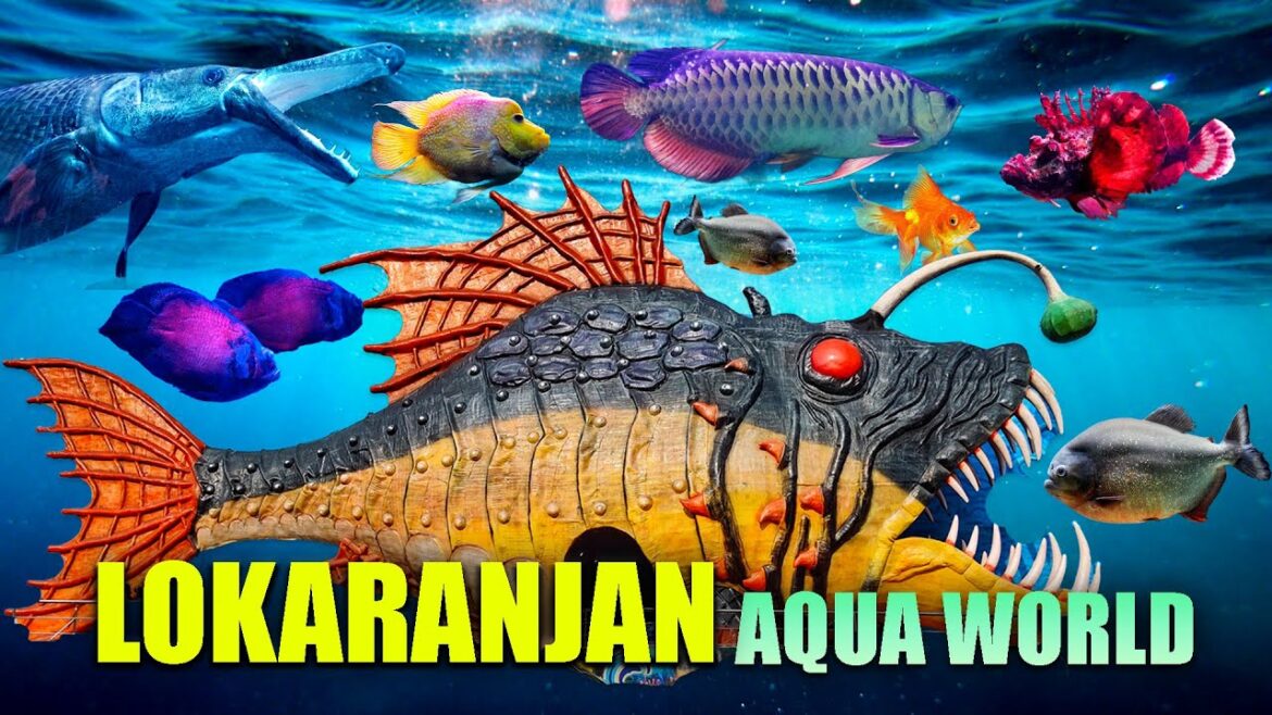 Lokaranjan Aqua World Mysore | Beautiful Aqua Zoo Mysore | Karnataka’s First Underwater Zoo Tunnel Lokaranjan Aqua World Mysore | Beautiful Aqua Zoo Mysore | Karnataka’s First Underwater Zoo Tunnel