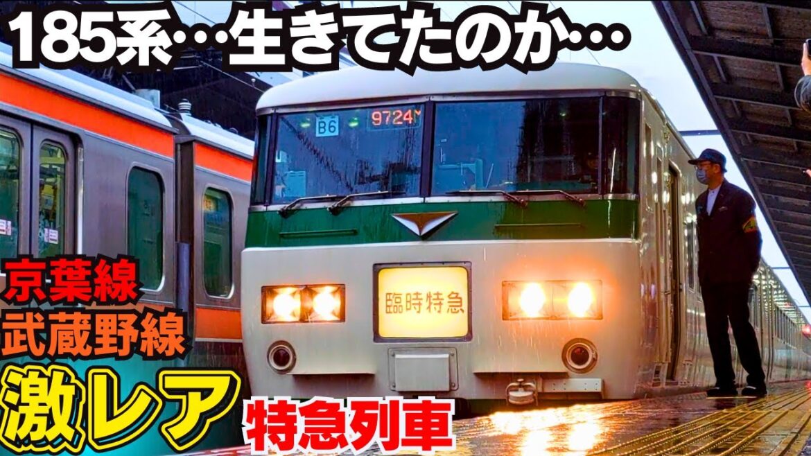 【衝撃】武蔵野線にまさかの特急が！国鉄型185系のレトロ旅［海浜幕張→大宮］