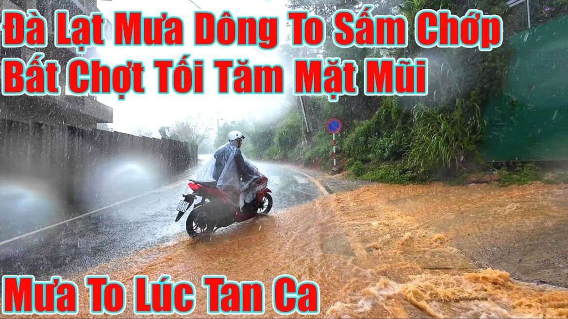 Đà Lạt Trưc Nay Mưa To Sấm Chớp Bất Chợt Tối Tăm Mặt Mũi Đà Lạt Trưc Nay Mưa To Sấm Chớp Bất Chợt Tối Tăm Mặt Mũi