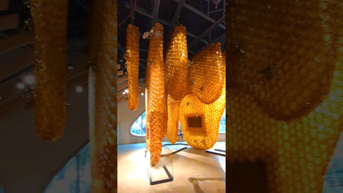 3,500-Pound “Beehive” American museum of natural history. #shorts #nyc #love. #museum #manhattan