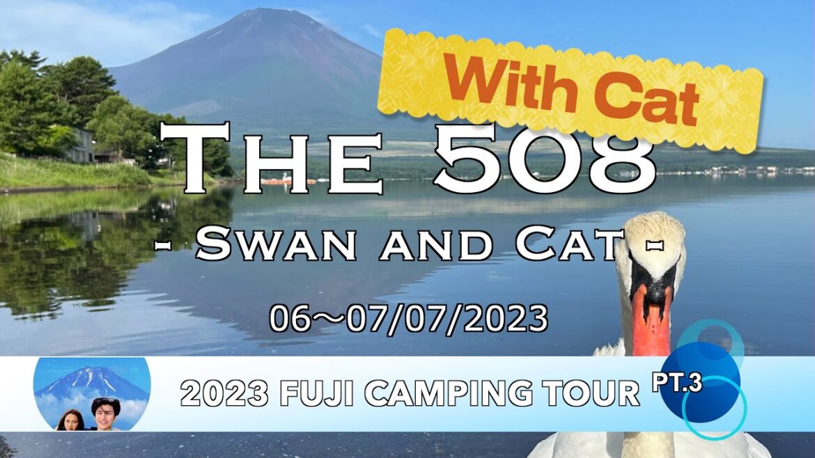 The 508 - Swan and Cat -  : 2023 Fuji Camping Tour Pt.3