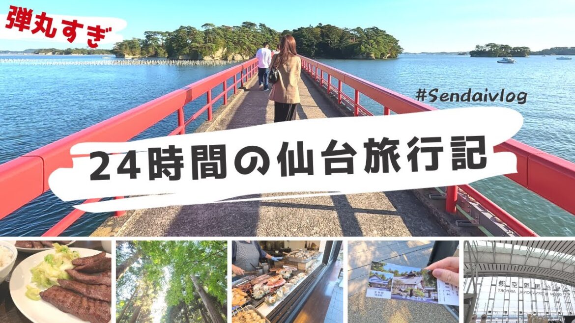 【旅行VLOG】弾丸すぎ24時間の仙台旅行へ？！せっかく行ったのに…｜東北旅行｜仙台観光｜牛タン爆食｜レンタカーなしの国内旅行｜