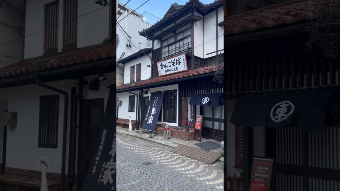 Wanko Soba Challenge! | Morioka, Iwate 🇯🇵 #japan #travel #food Wanko Soba Challenge! | Morioka, Iwate 🇯🇵 #japan #travel #food