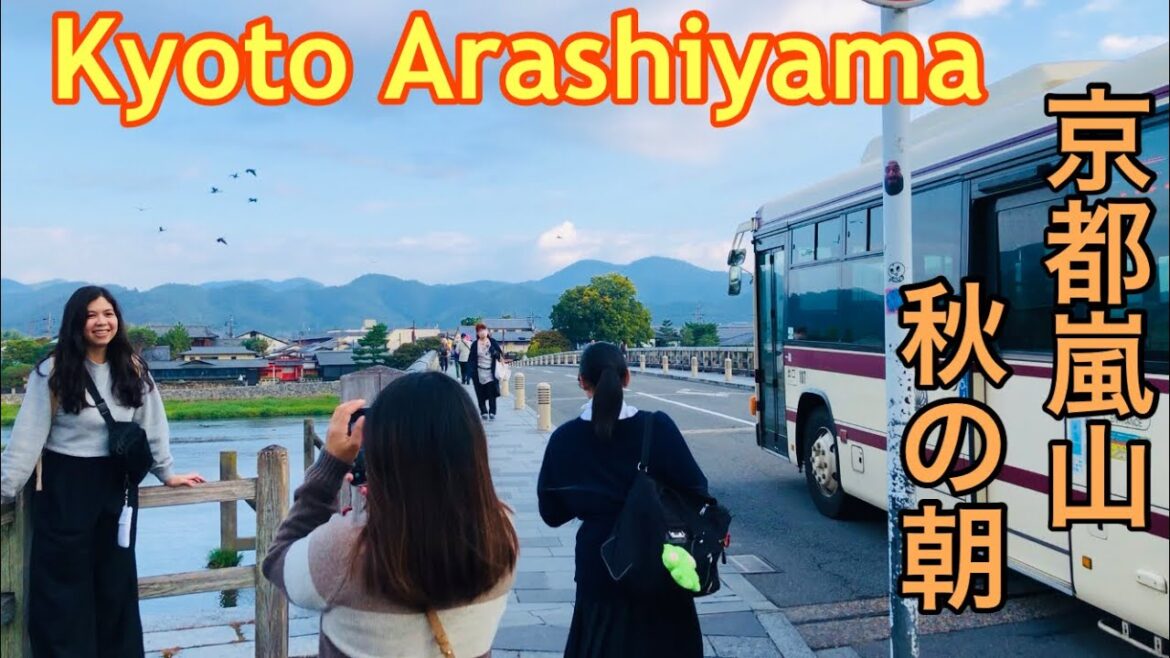 京都嵐山秋の朝🍃Kyoto Arashiyama Autumn Morning 2023年10月17日(火)