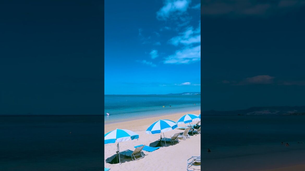 過ごしやすい気候になってきました✨ #沖縄 #hotel #恩納村