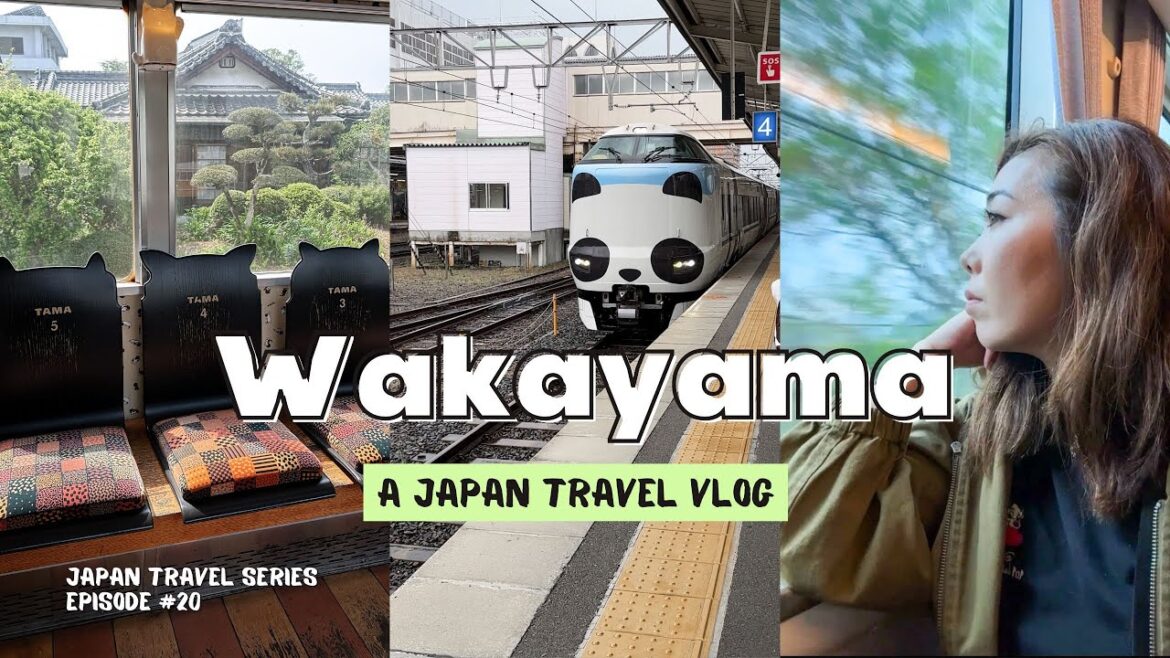 From Osaka to WAKAYAMA | 1-Day Itinerary: Japan’s countryside, cat train station, themed trains From Osaka to WAKAYAMA | 1-Day Itinerary: Japan's countryside, cat train station, themed trains
