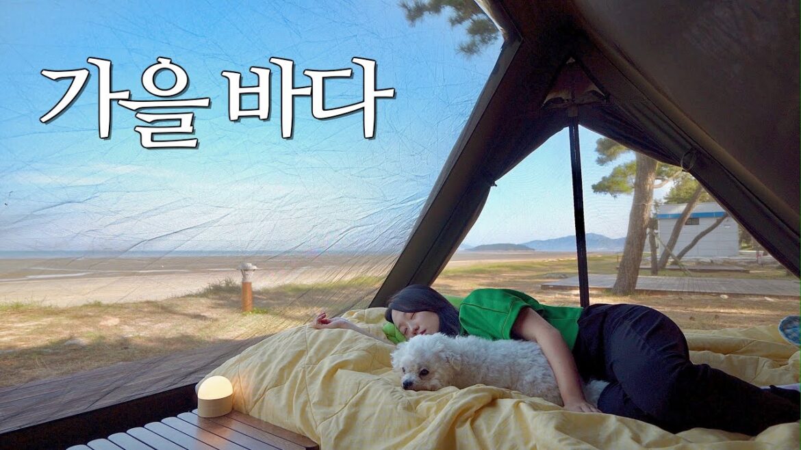 2만원으로 갈 수 있는 멋진 바다뷰 캠핑장 / 바베큐 치킨. 브리치즈 하몽 토스트 / 솔로 캠핑 / 반려견 동반 캠핑 / 전북 고창 동호 국민여가캠핑장