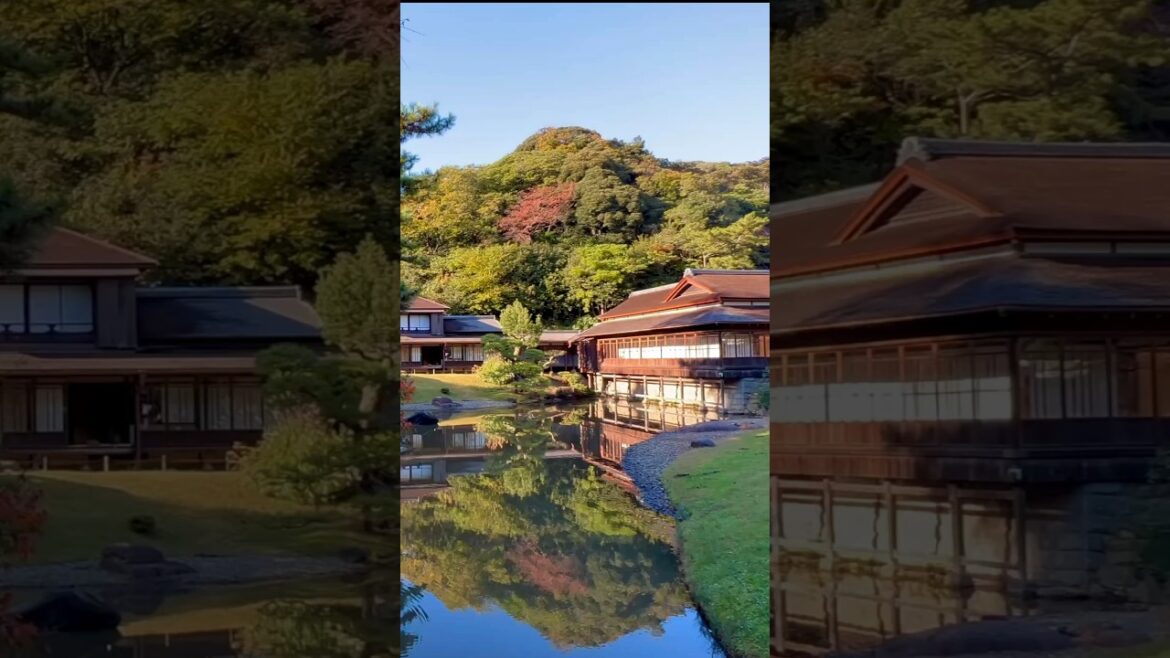 AUTUMN in YOKOHAMA #shorts #japan