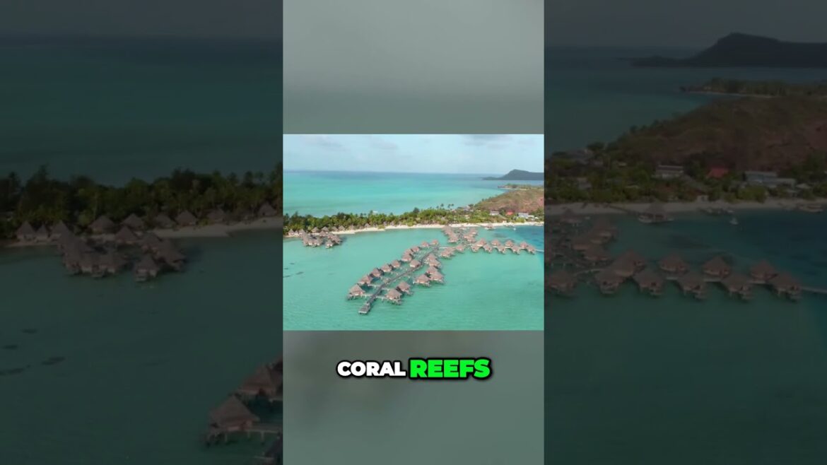 Paradise Found Discover Bora Boras Stunning OverWater Bungalows and Pristine Beaches