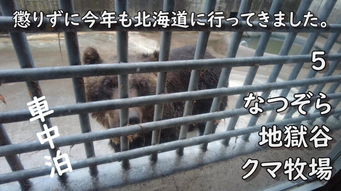 懲りずに今年も北海道に行ってきました。5 懲りずに今年も北海道に行ってきました。5