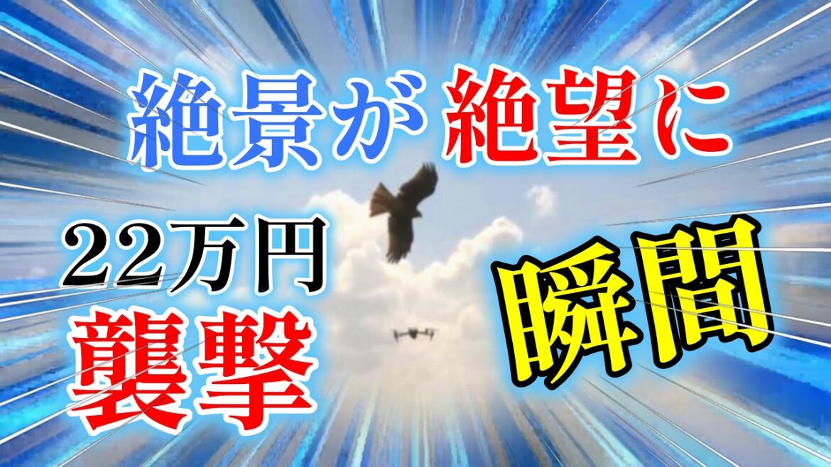 【ドローン攻撃】22万円の新型ドローンが空撮で鳥に攻撃され絶景が絶望になる末路【dji air3】 【ドローン攻撃】22万円の新型ドローンが空撮で鳥に攻撃され絶景が絶望になる末路【dji air3】