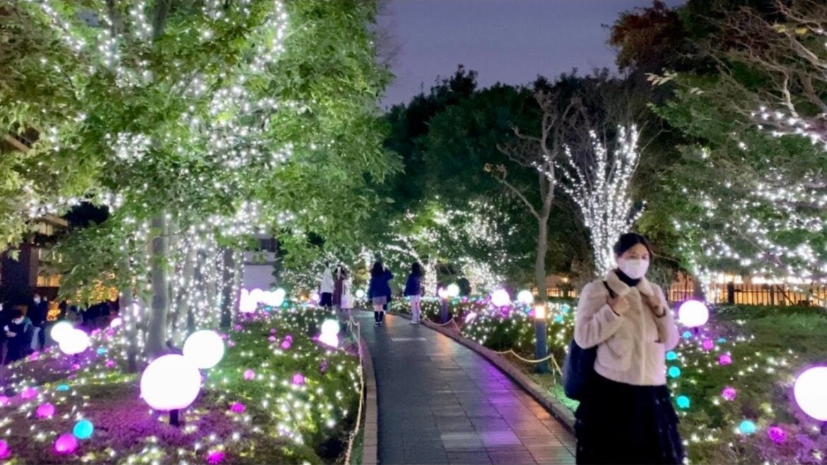 【4K】Tokyo Christmas Lights 2021 - Shinjuku