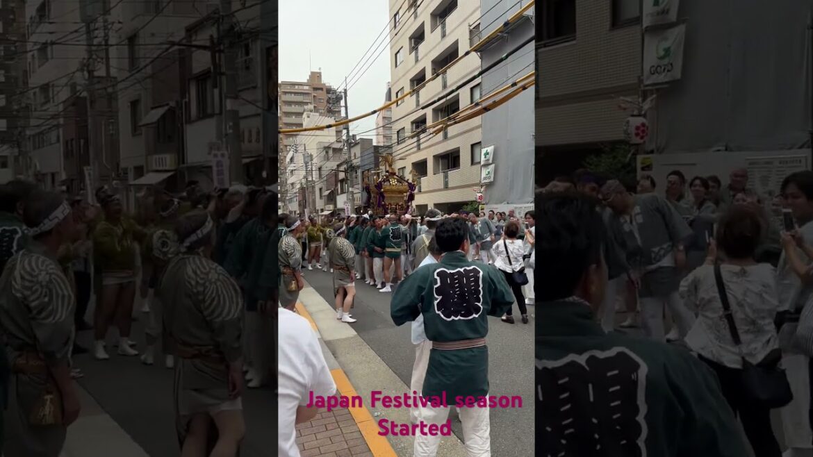 Japan Festival - Carrying the Mikoshi