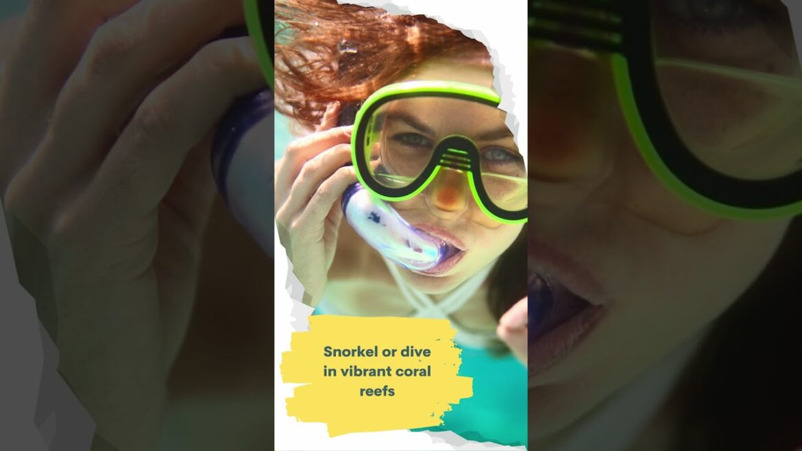 5 Things you should miss at Maldives | Best travel destinations #travel #Asia