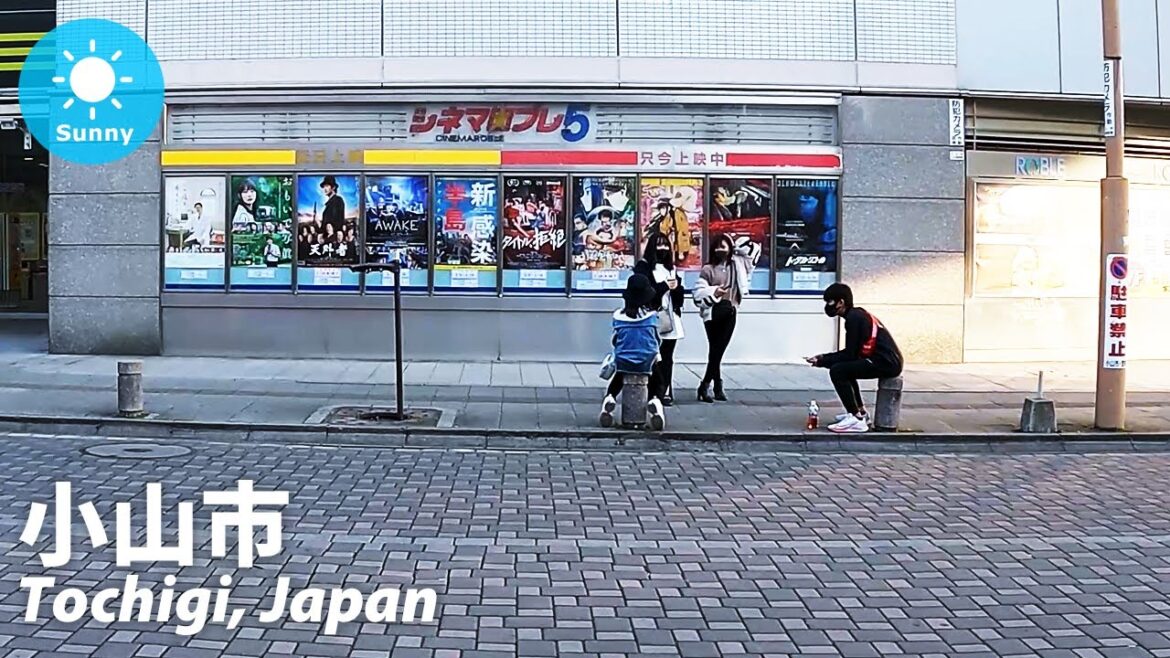 ⁴ᴷ Tochigi: Oyama (小山市) - Japan Walking Tour (February 13, 2021)