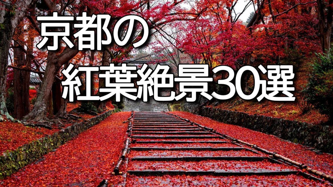 【4K 京都の紅葉🍁30選】鮮やかな極上の名所