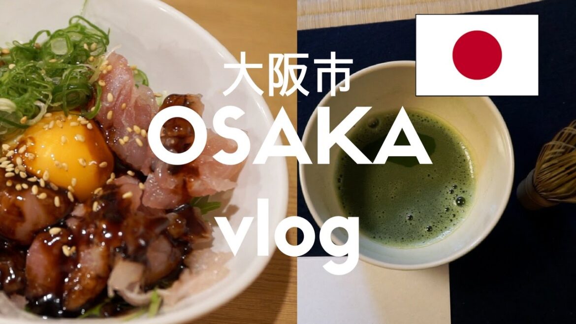 BEST Japanese Seafood in Osaka (Osaka, Japan Vlog 7) BEST Japanese Seafood in Osaka (Osaka, Japan Vlog 7)