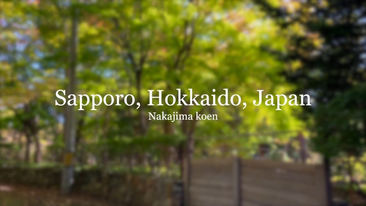 Walk in Sapporo, Japan | 4k sapporo 札幌 | 札幌 北海道 秋 | 札幌散歩 | city walk 4k Walk in Sapporo, Japan | 4k sapporo 札幌 | 札幌 北海道 秋 | 札幌散歩 | city walk 4k