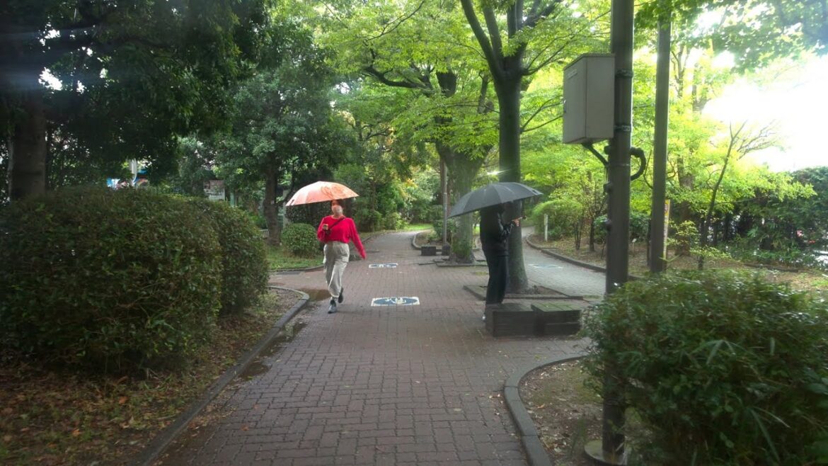 東京散歩：雨の日の公園と住宅街