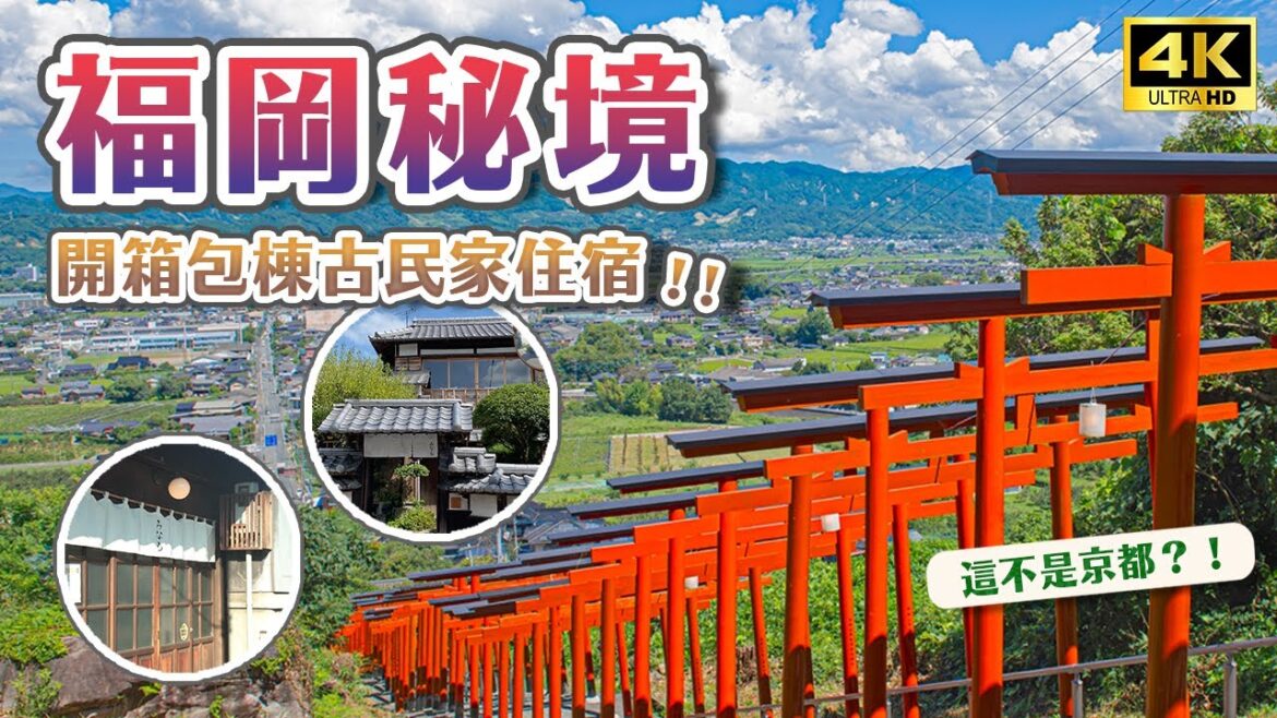 2023必去日本秘境！福岡也有千本鳥居⛩️大手筆包棟開箱文青風古民家旅館😎傳統白璧街道、質感生活雜貨、銅鑼燒排隊名店、葛籠梯田、彼岸花田、古民家住宿、日本包棟住宿｜福岡浮羽市・日本旅遊 4K Vlog