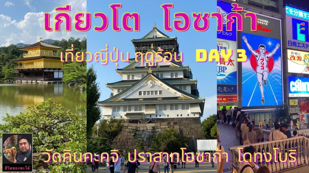 Day 3 ทัวร์พาเเที่ยวญี่ปุ่นฤดูร้อน 2023  เกียวโต โอซาก้า | พะโล้ท่องเที่ยว Ep.25  #ชีวิตของพะโล้