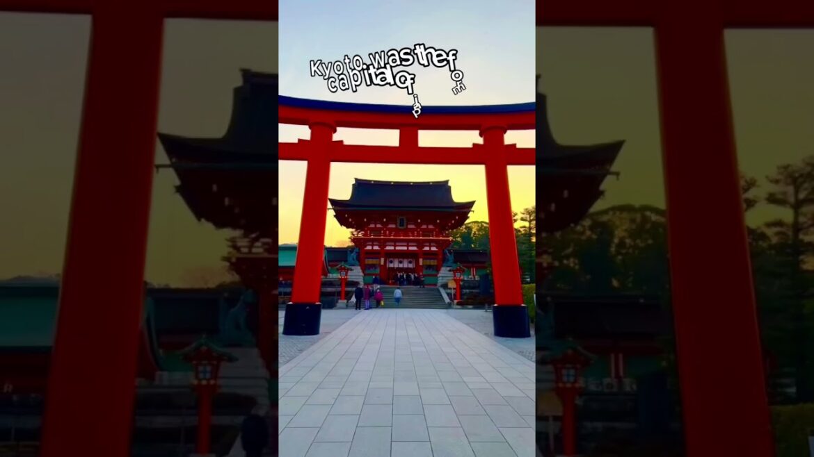 Kyoto city of shrines #japan #travel #cherryblossom #kyoto #fyp#japantrip #traveljapan #stranger