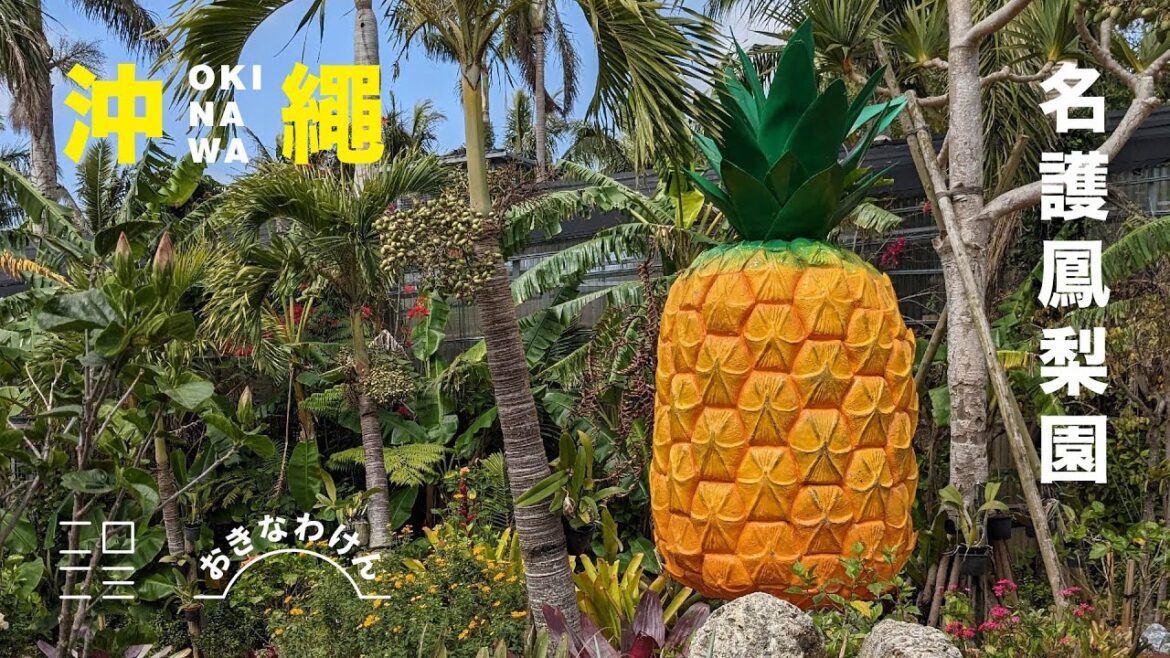 【沖繩】〔CC字幕〕Japan Okinawa－名護鳳梨園(Nago Pineapple Park)