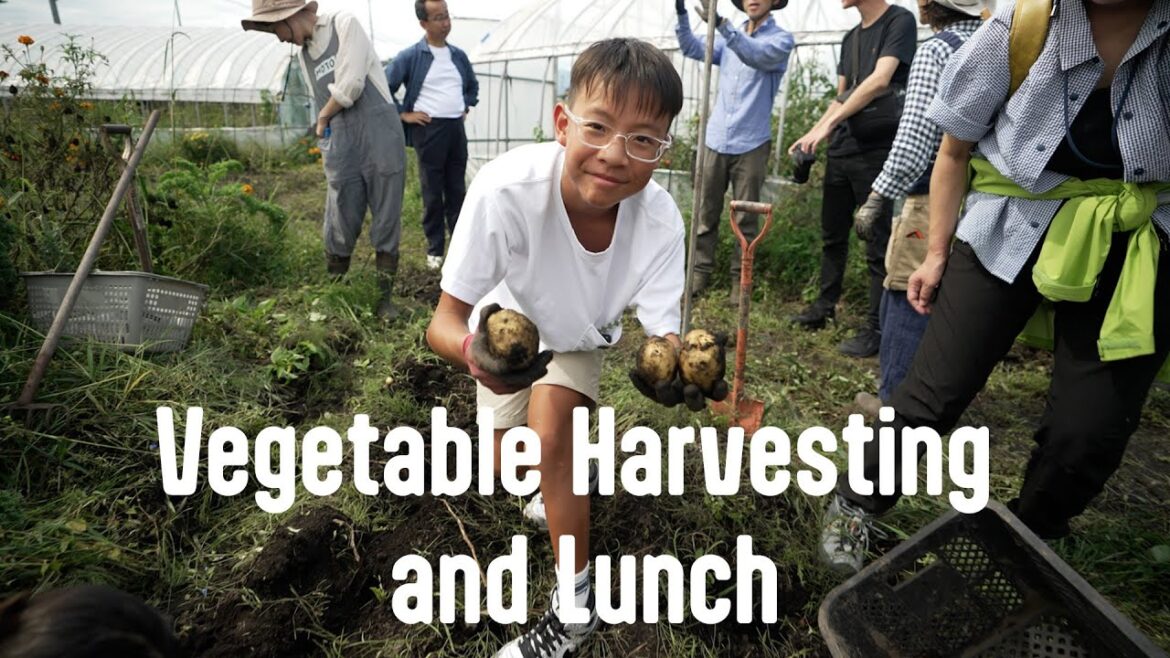 Harvest and enjoy vegetables in Hokkaido! | JNTO