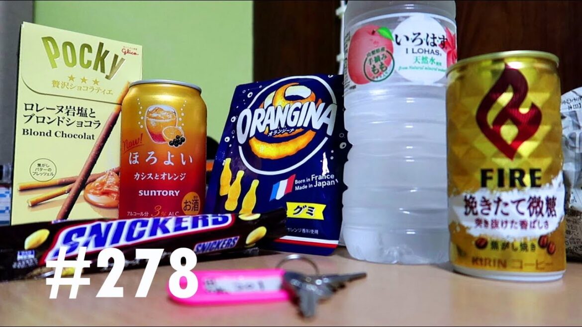 VLOG #278 BACK TO TOKYO!