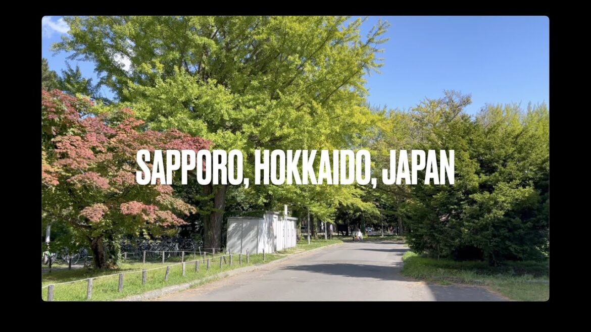 Walk in Sapporo, Japan | 4k sapporo 札幌 | 札幌 北海道 秋 |  札幌散歩 | city walk 4k Walk in Sapporo, Japan | 4k sapporo 札幌 | 札幌 北海道 秋 |  札幌散歩 | city walk 4k