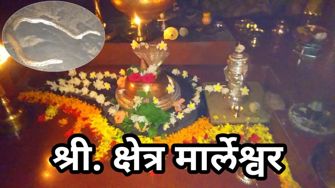 सह्याद्रीच्या कुशीत वसलेले श्री क्षेत्र मार्लेश्वर,/नाग देव दर्शन/Marleshwar Temple/The fantastic 4